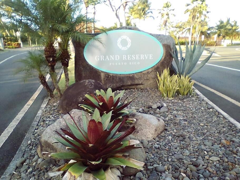 Cozy Suite At Coco Beach , Not Pets Rio Grande Bagian luar foto